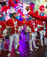 Samba Show